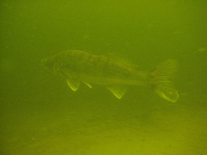2009-08-01 13-56-56S.JPG